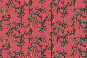 Botanical abstract plant seamless pattern with wildflowers Clovers illustration. Repeating retro floral pattern in pink color background. Graphic design for Wallpaper Textile Cover Birthday vector