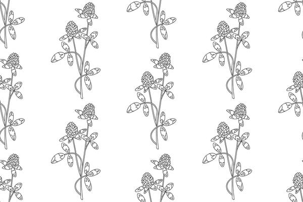 Line art botanical abstract seamless plant pattern with Clover wildflowers illustration. Black and white outline repeating floral background. Graphic design for Wallpaper Textile Birthday Cover