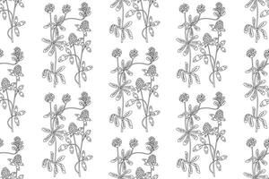 Line art botanical abstract seamless plant pattern with Clover wildflowers illustration. Black and white outline repeating floral background. Graphic design for Wallpaper Textile Cover Birthday Print vector