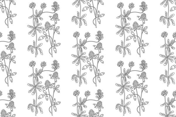 Line art botanical abstract seamless plant pattern with Clover wildflowers illustration. Black and white outline repeating floral background. Graphic design for Wallpaper Textile Cover Birthday Print
