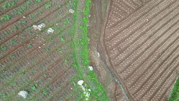 Aerial view of farmland with symmetrical terraced pattern with fertile soil. Mountain rocks are scattered around the land, indicating that the farmland is located on hills. video