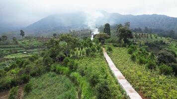 Aerial view of green hills with fertile farmland, shady trees, footpaths, and white smoke billowing from the fires. In the distance, mountains with dense forests are visible in the background. video