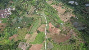 Aerial view of drone movement above green and lush farm fields in the mountains. White paths divide the area. Villages can be seen below in the valley. video