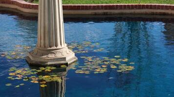 Exploring tranquil waters with lily pads and elegant columns video
