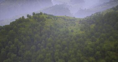 Lush green hillside under misty mountains in tranquil morning light video