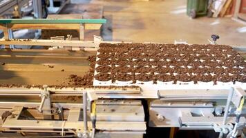 Ready for growing. Automated pallets fill with peat mix pre seeded in pots moving on conveyor belt video