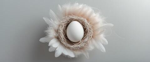 Pastel minimal concept featuring a white egg nestled in a textured nest with soft feathers on a light gray background viewed from above. photo