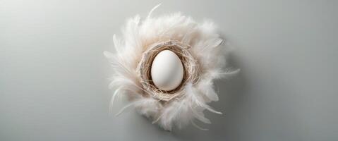 Pastel minimal concept featuring a white egg nestled in a textured nest with soft feathers on a light gray background viewed from above photo