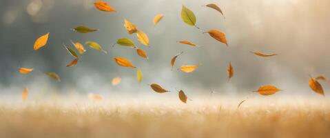 Leaves Caught in Wind with Soft Light Effect. photo
