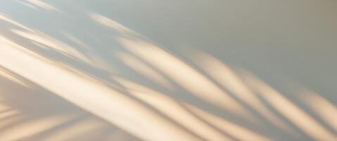 Relaxation in sunlight with soft shadows on a calm afternoon photo