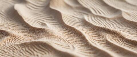 Capturing the intricate sandy texture in high resolution photo