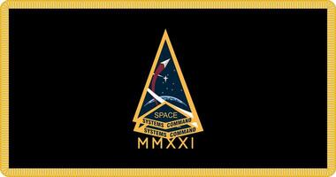 Space Systems Command Flag Illustration Premium Quality vector