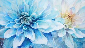 petals aqua water color photo