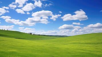 grass green field with sky photo