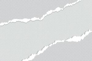 Ripped Torn paper sheet edge on Blank background with curled page vector