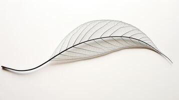 minimalist continuous line leaf photo
