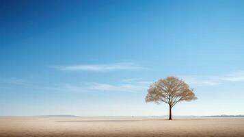 solitude minimalist tree photo