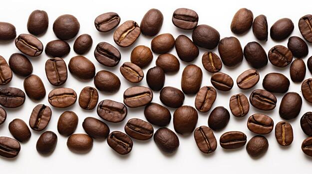 s coffee bean hand drawn photo