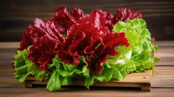 fresh lettuce red leaf photo