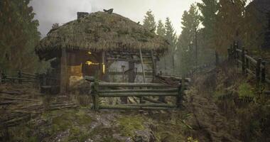 Rustic cottage surrounded by trees in a tranquil forest setting video
