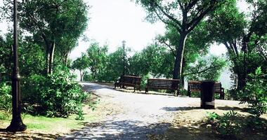 ruta mediante un lozano parque con bancos y verdor en un soleado día video