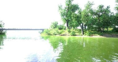 Bright afternoon by the serene river surrounded by lush greenery video