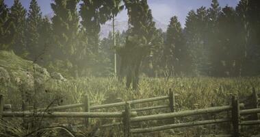 Man carrying large bundle in rustic setting near wooden fence video