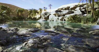 Oasis surrounded by palm trees and rocky formations in a desert landscape video