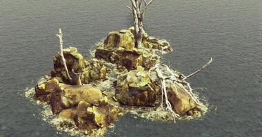 Rocky island with barren trees in calm water during overcast weather video