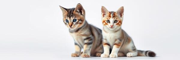 Two playful kittens sit together on a light background, showcasing their curious expressions and unique fur patterns photo