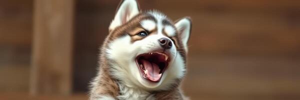 Happy puppy plays joyfully in a sunny outdoor setting, showcasing its playful personality and fluffy fur photo