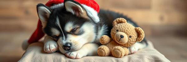 Cute sleeping puppy wearing a festive hat next to a teddy bear during the holiday season photo