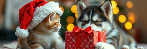Festive kitten and puppy celebrate Christmas by exploring a gift wrapped in festive paper and a red bow photo