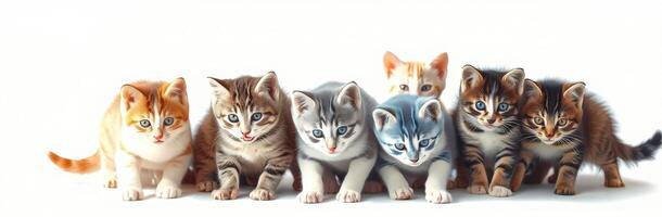 Group of playful kittens of various colors exploring together on a light background photo