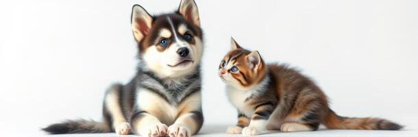 Cute puppy and kitten sitting together on a light background, showcasing friendship in a cozy indoor setting photo