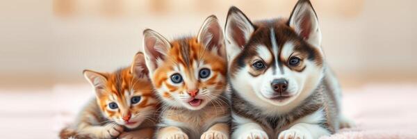 Three adorable kittens and a dog sit closely together in a cozy setting, showcasing their playful expressions and contrasting fur patterns in sunlight photo