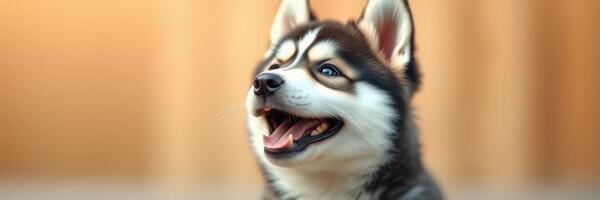 Happy husky puppy enjoying a sunny day in a cozy indoor space with warm background colors photo