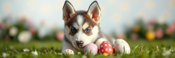 Cute puppy playing with colorful Easter eggs in a vibrant spring garden filled with flowers photo