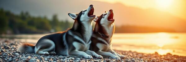 Two dogs howling at sunset by the lake with mountains in the background photo