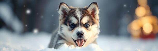 Playful puppy enjoying winter wonderland surrounded by soft snowflakes in a serene outdoor setting photo