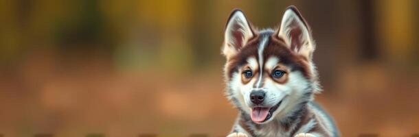 Playful dog enjoys a sunny day in a colorful forest setting while resting on a log photo