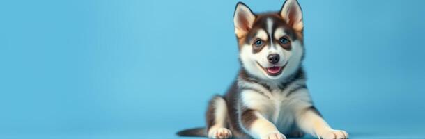 Playful puppy with a joyful expression in a bright blue background setting photo