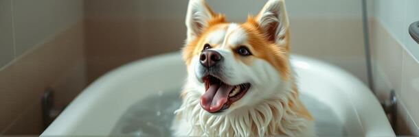 Happy dog enjoying a bath in a cozy bathroom with a relaxed atmosphere and warm lighting photo