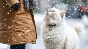 confident individual walks along bustling city sidewalk while white cat playfully gazes up them adorned small golden charm as snowflakes gently fall photo