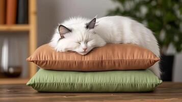 A white cat sleeping on top of three pillows photo