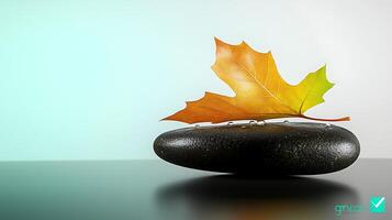 A rock with a leaf on it photo