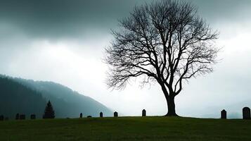 A lone tree stands in the middle of a field photo