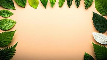 Green leaves arranged in a square frame on a beige background photo