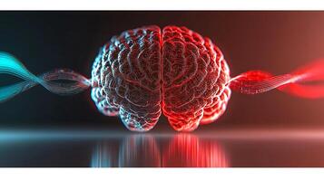 The brain is shown with red and blue lines photo