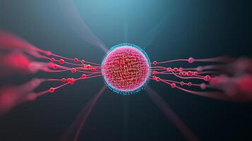 A cell with a red nucleus and a red cell photo